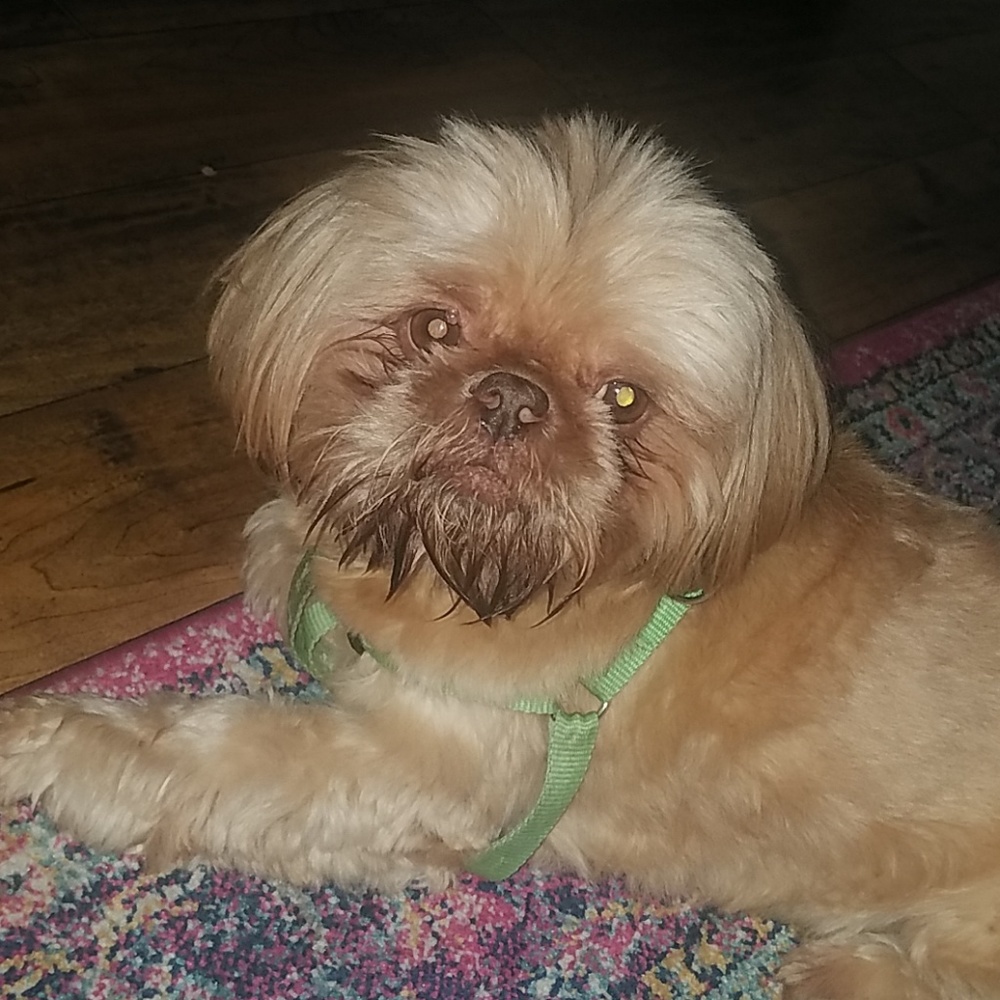 Teddy saying hi